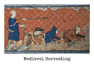 Medieval Harvesting